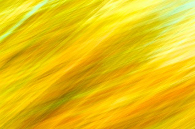 Vent d'automne - Norbert Leblanc - Click to enlarge