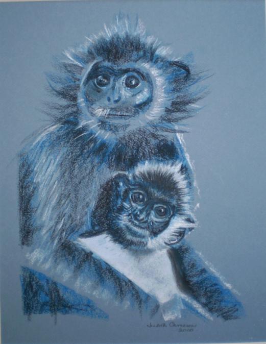 Les petits singes - Judith Cameron