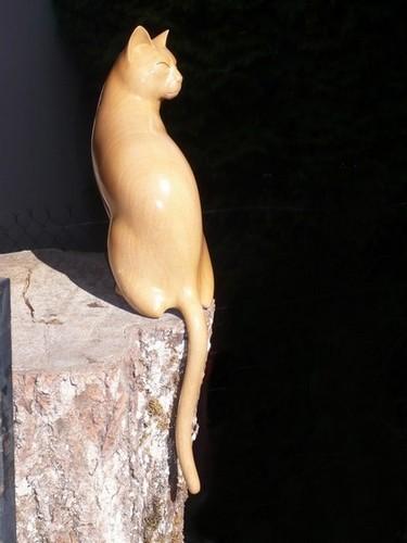 Chat 2 - Pascal Fouratier