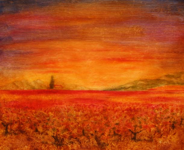 Vignes à Roquemartine. - Jean-Xavier Combe - Cliquer pour afficher en grand