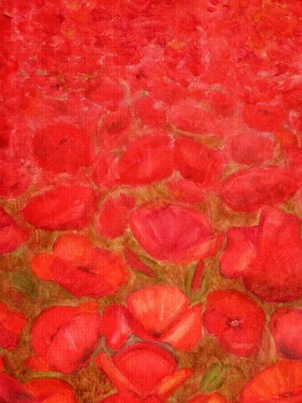 champ de coquelicots - Jean-Xavier Combe
