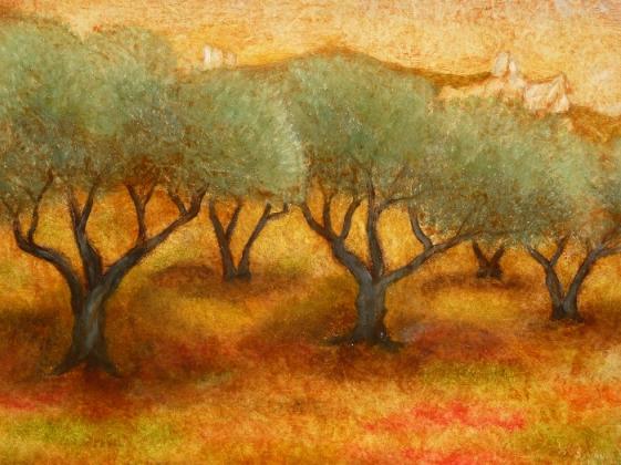 Oliviers - Jean-Xavier Combe
