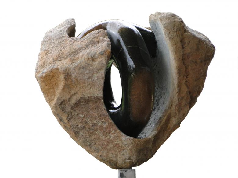 Hidden Ring - Karel Vreeburg - Cliquer pour afficher en grand