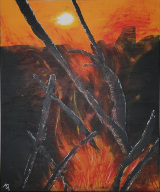 Mexican Fire - Maria-Anna van Driel