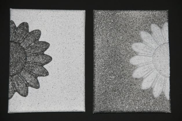 Devorced sunflower - Maria-Anna van Driel - Click to enlarge