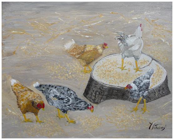 Les Poules D'yquelon - Yves Vinhas