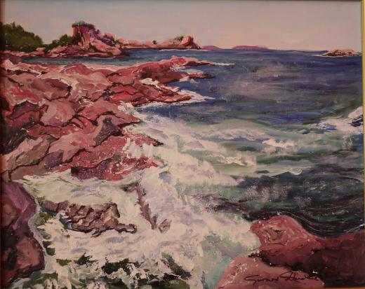 La côte de granit - Gérard Duchêne
