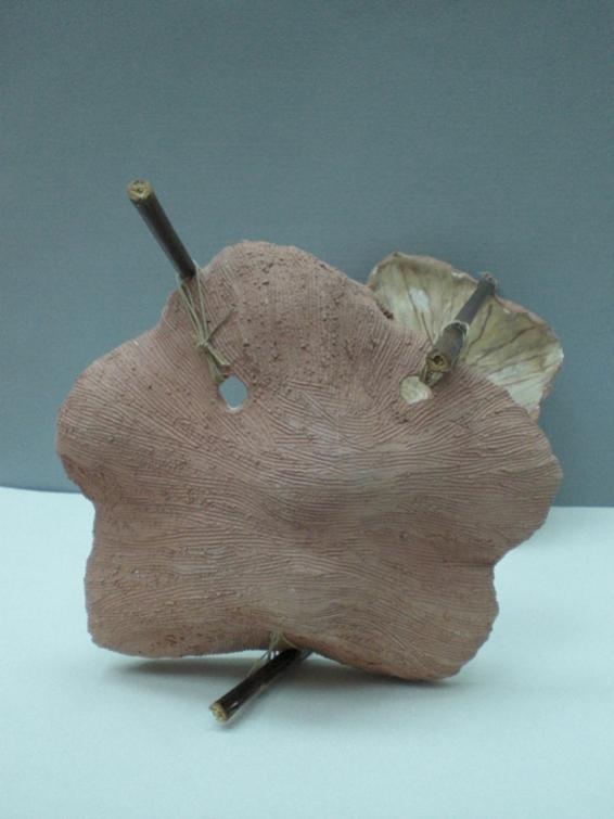 Coquillage de Femme - Priscilla Compart