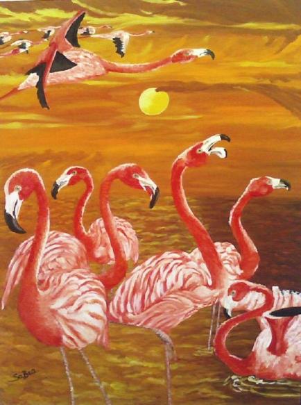 Migration sur le lac des Flamands roses - SaBra Cigna