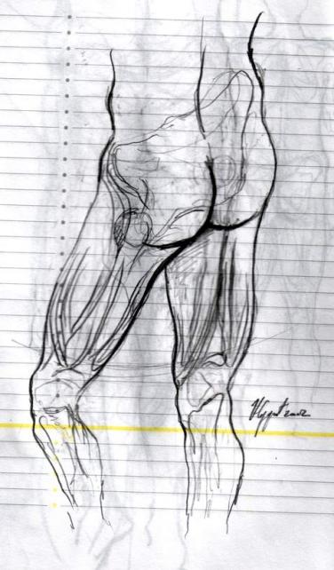 Anatomy 1 (Anatomie 1) - Nikola Ojdanic