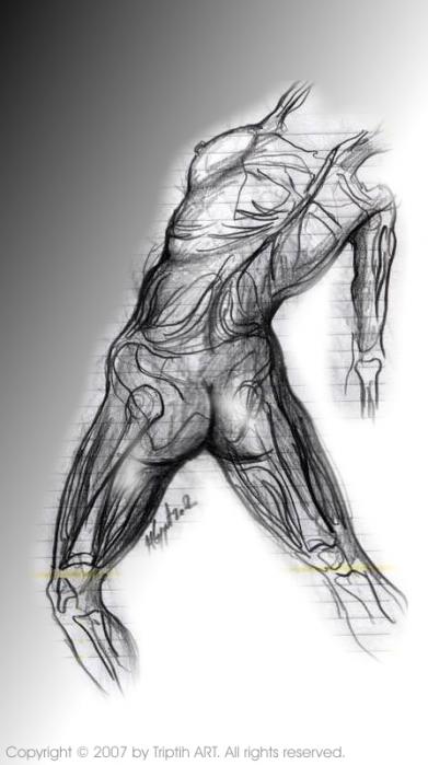 Anatomy ( Anatomie ) - Nikola Ojdanic