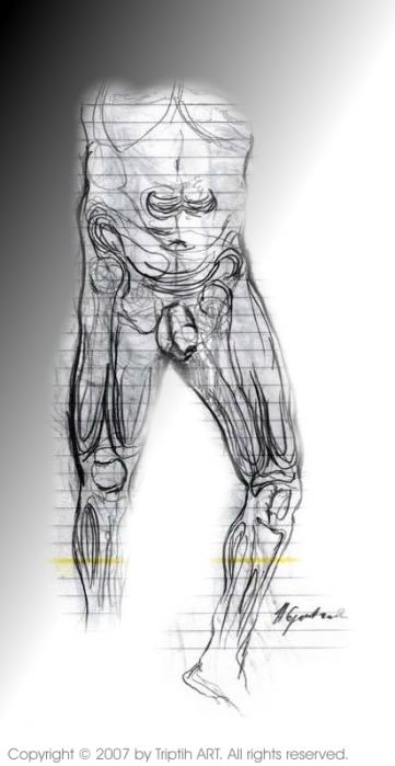 Anatomy 2 ( Anatomie 2 ) - Nikola Ojdanic