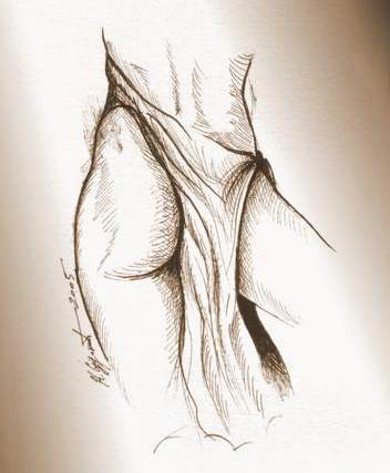 Dance ( Danse ) - Nikola Ojdanic