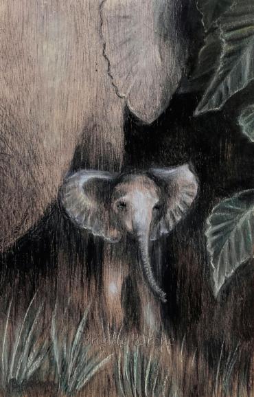 Baby elephant in the dark - Brigitte Barone