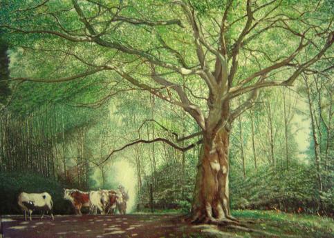 The old plane tree - Paul Gosselin