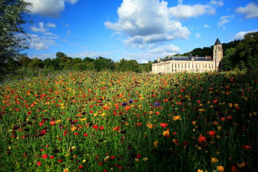 le chateau fleuri - - David Blondin