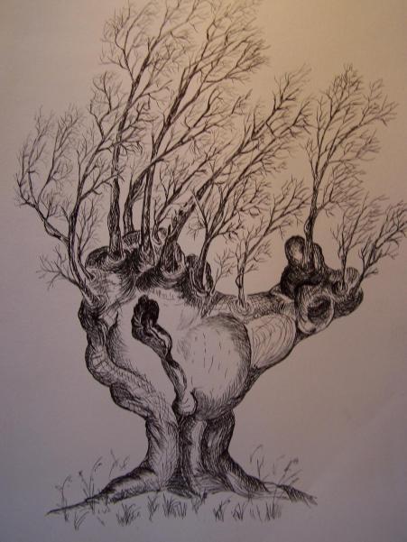 des1 - Jacques Clippet