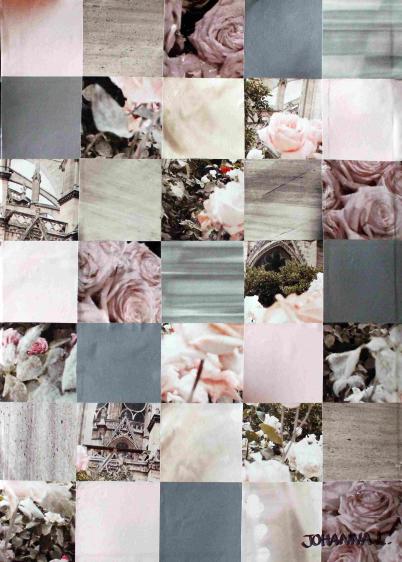 Roses 2 - Johanna L.