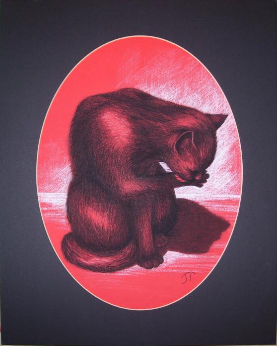 La toilette du chat - Jocelyne Thibault