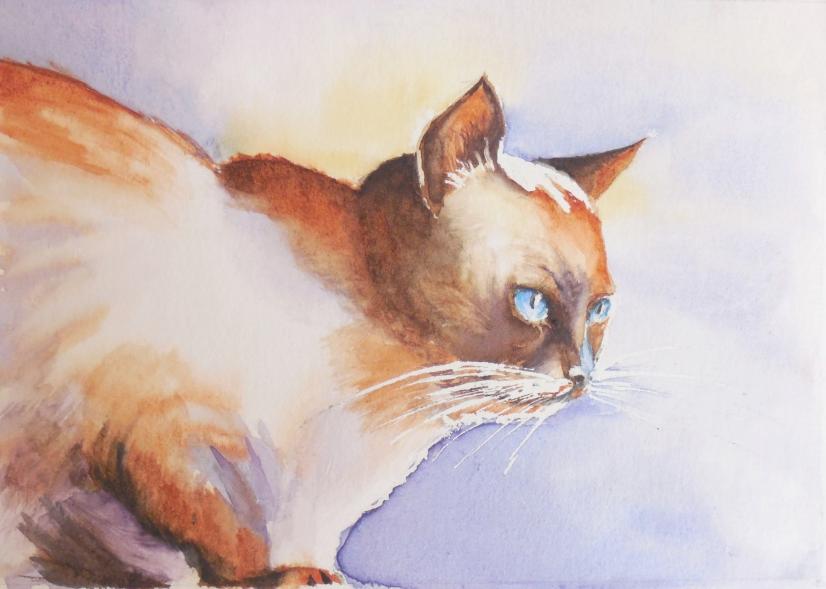 Chat roux - Jocelyne Thibault - Click to enlarge