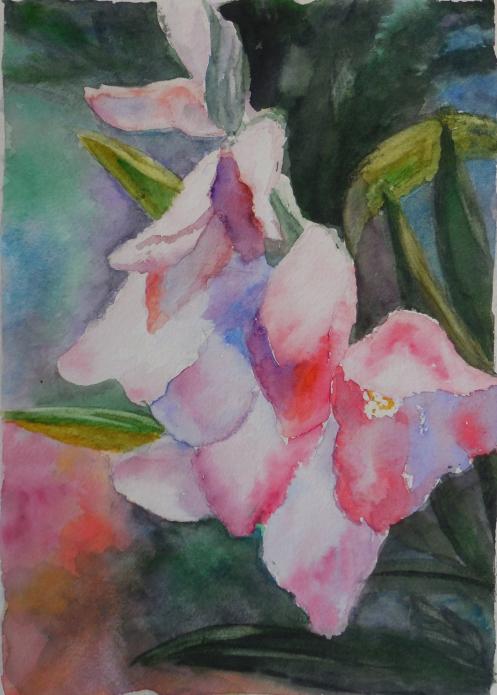 Glaïeul - Jocelyne Thibault