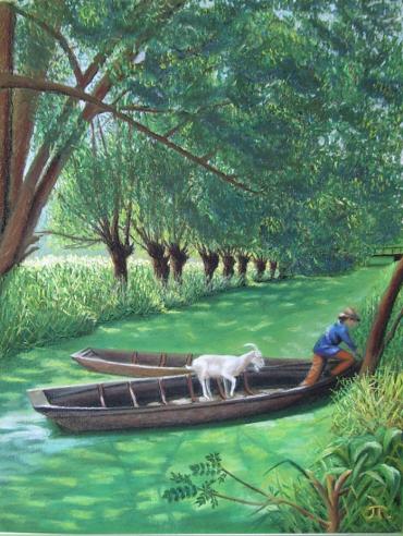 Marais poitevin - Jocelyne Thibault