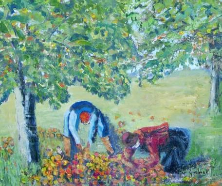 ramassage des pommes - Georgette Gerbaud