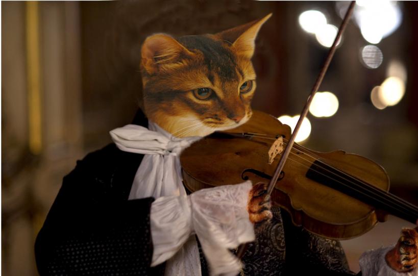 Chat Mozart - Marie-France Plouznikoff - Click to enlarge