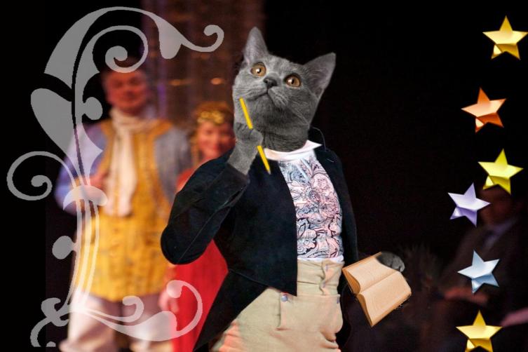 Chat Figaro - Marie-France Plouznikoff - Click to enlarge