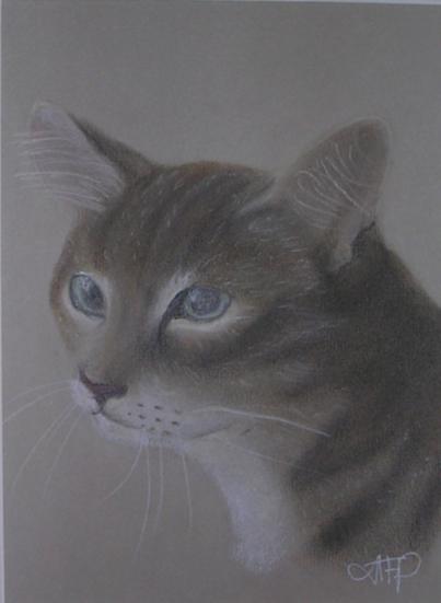 pensées - Marie-France Plouznikoff