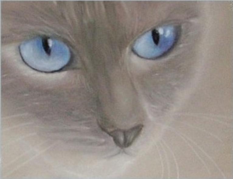 Intensité - Marie-France Plouznikoff - Cliquer pour afficher en grand