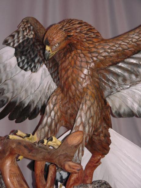 Close up of eagle - John Elsebusch