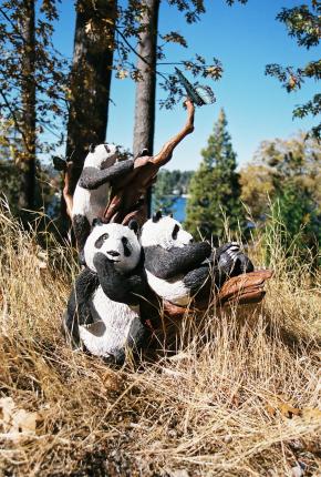Panda Bear Family Chasing Butterflies - John Elsebusch