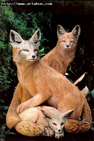 Fox Family - John Elsebusch