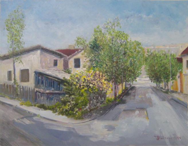 Banovo brdo street - Dragan Dimitrijevic - Click to enlarge