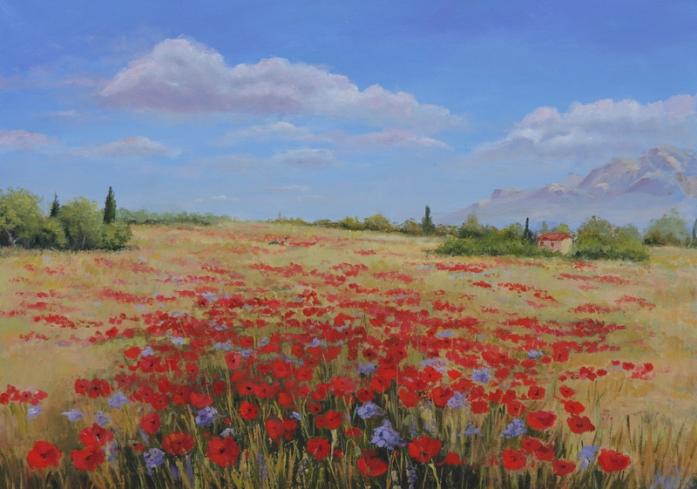 champ de coquelicots - Véronique Lepercq - Cliquer pour afficher en grand