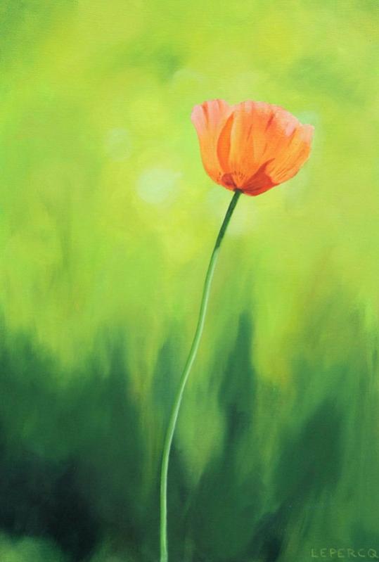 coquelicot - Véronique Lepercq