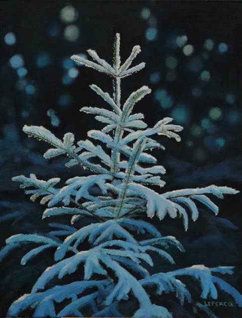 sapin - Véronique Lepercq