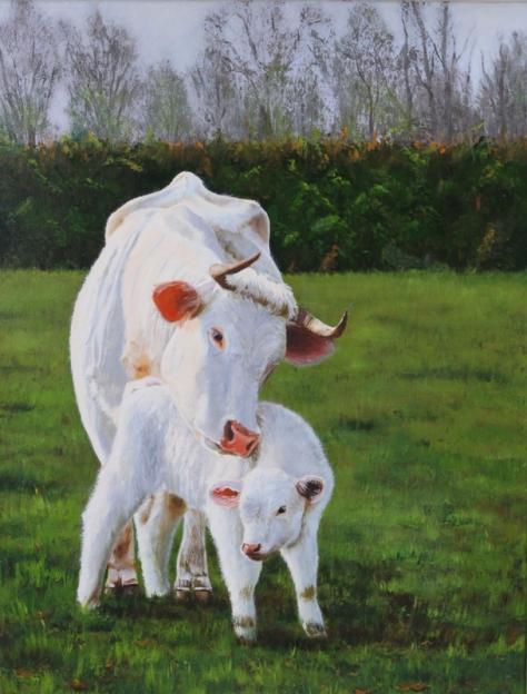 veau sous la mère - Véronique Lepercq