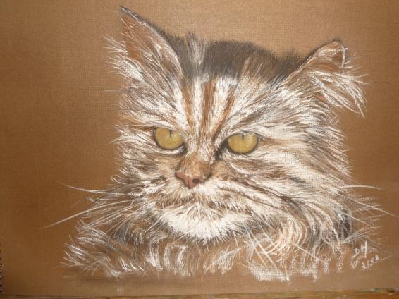Chat - Dominique Hutten