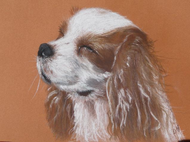 Chien - Dominique Hutten - Click to enlarge