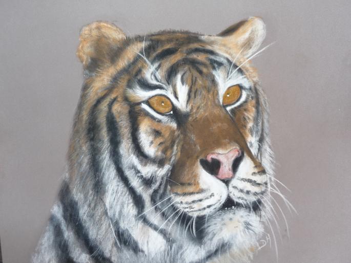 Tigre - Dominique Hutten - Cliquer pour afficher en grand