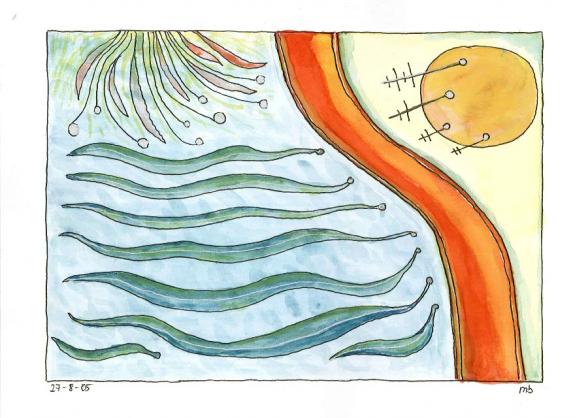 Seaside - Michael Basler - Click to enlarge