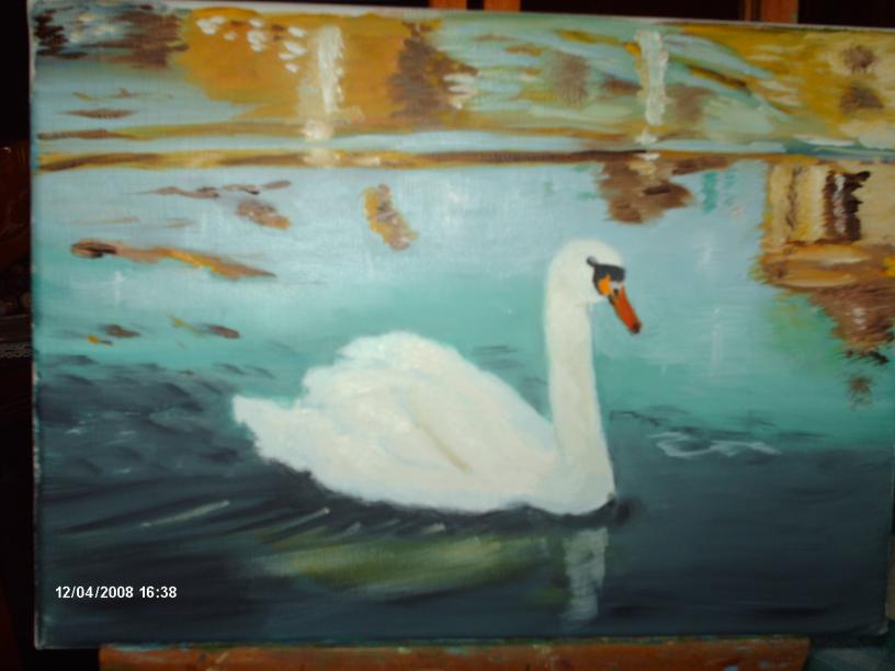Le Cygne - Louise Borragini - Click to enlarge