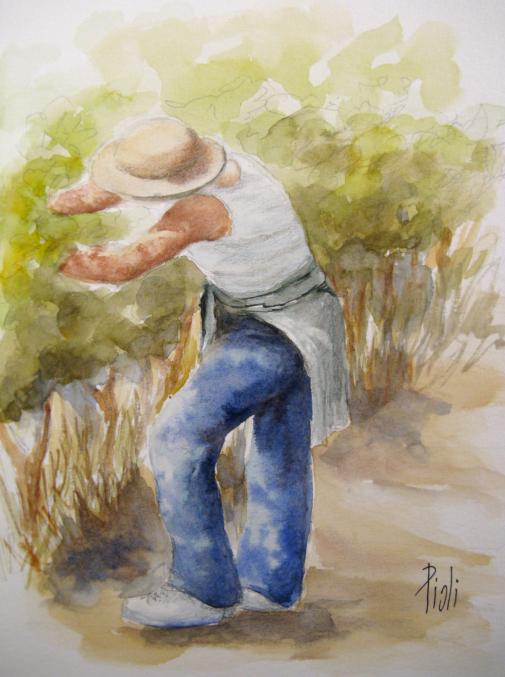 Le vigneron - Sylvie Pioli