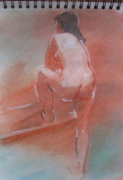 Carnet 1 - Claire Lewis