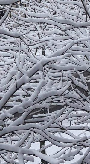 Hiver coton - Claire Lewis