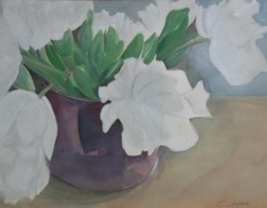 Pivoines - Claire Lewis