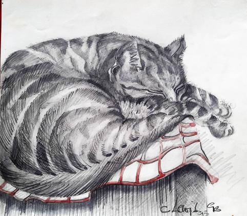 La chaise du chat - Claire Lewis