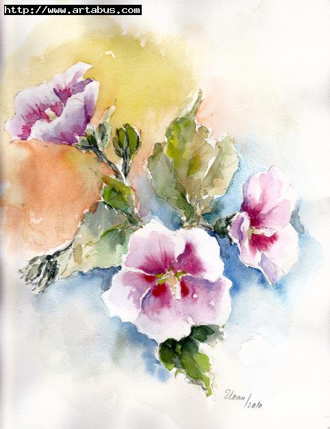 Hibiscus : Aquarelle - Eugenia Ioan